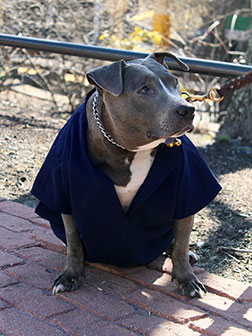 The Center for Advanced Dental Care, PLLC | Dental Fillings, Emergency Treatment and Implant Restorations